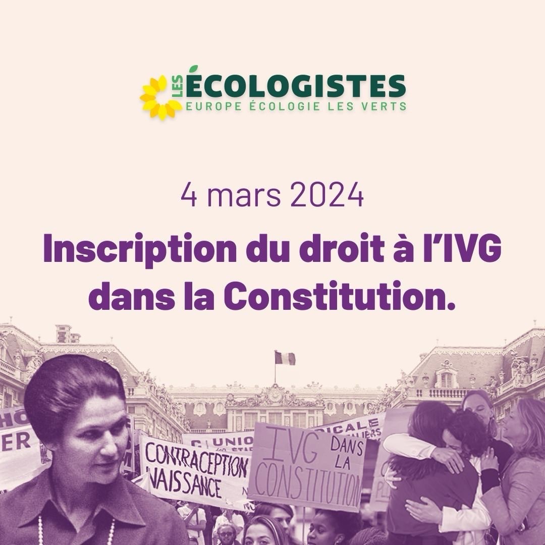 Visuel des Écologistes pour l’IVG dans la Constitution. 